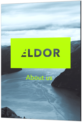 About Eldor Group
