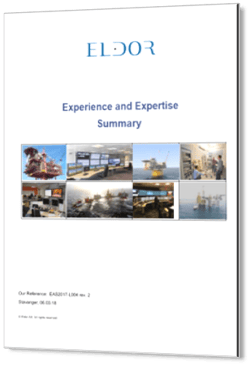Experience and Expertise Summary_3D