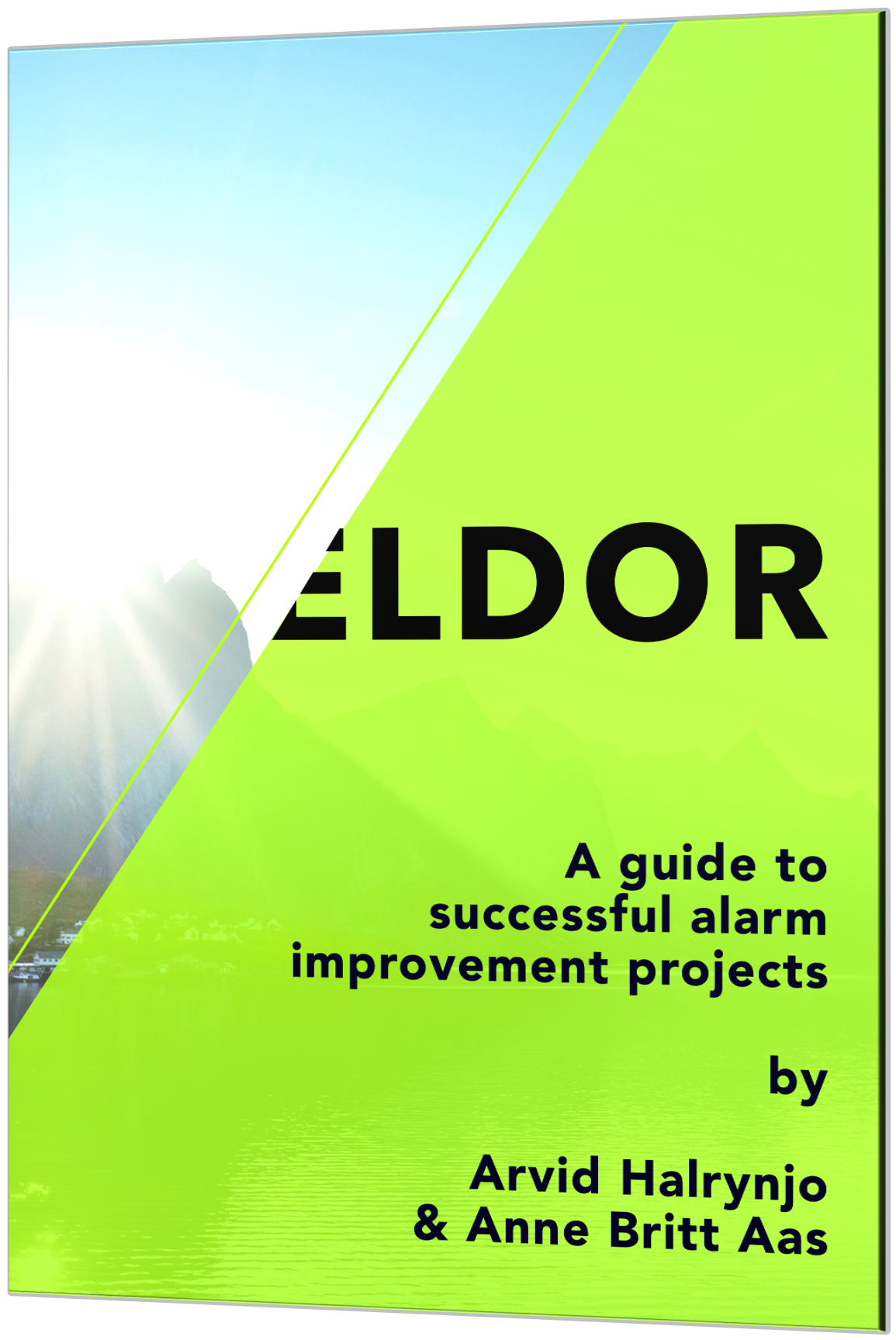 Guide_Successful Alarm Improvement Project_3D