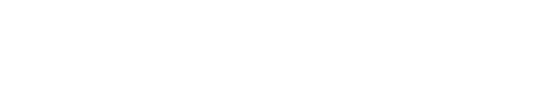 eldor_logo_negativ